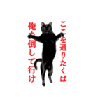 黒猫オレオくんリアルイラストスタンプ①（個別スタンプ：10）