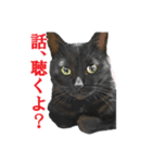 黒猫オレオくんリアルイラストスタンプ①（個別スタンプ：11）