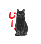 黒猫オレオくんリアルイラストスタンプ①（個別スタンプ：12）