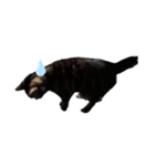 lunasticker（個別スタンプ：2）