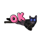 lunasticker（個別スタンプ：3）