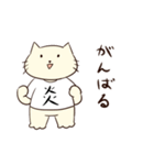 省エねこ（個別スタンプ：20）