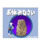 沖縄三線山羊ちゃんの日常生活6 友達紹介編（個別スタンプ：4）