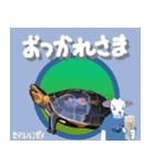 沖縄三線山羊ちゃんの日常生活6 友達紹介編（個別スタンプ：6）