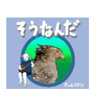 沖縄三線山羊ちゃんの日常生活6 友達紹介編（個別スタンプ：8）