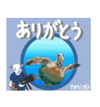 沖縄三線山羊ちゃんの日常生活6 友達紹介編（個別スタンプ：12）