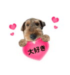 ウェルシュテリア ♡ジェリーさんの1日(18)（個別スタンプ：10）
