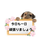 ウェルシュテリア ♡ジェリーさんの1日(18)（個別スタンプ：11）