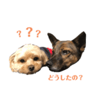 あくびとつくし（個別スタンプ：5）