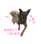 あくびとつくし（個別スタンプ：9）