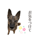 あくびとつくし（個別スタンプ：11）