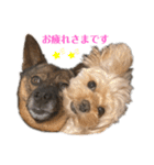 あくびとつくし（個別スタンプ：16）