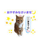 まりちゃんandりんちゃん（個別スタンプ：5）