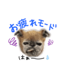 まりちゃんandりんちゃん（個別スタンプ：6）