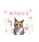 まりちゃんandりんちゃん（個別スタンプ：8）