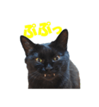 表情ゆたかな黒猫くん（個別スタンプ：3）
