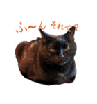 表情ゆたかな黒猫くん（個別スタンプ：6）