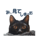 表情ゆたかな黒猫くん（個別スタンプ：9）