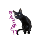 表情ゆたかな黒猫くん（個別スタンプ：14）