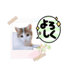 かわいいの天才 Part4（個別スタンプ：7）
