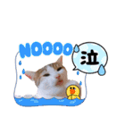 かわいいの天才 Part4（個別スタンプ：8）