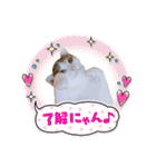 かわいいの天才 Part4（個別スタンプ：10）
