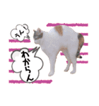 かわいいの天才 Part4（個別スタンプ：26）