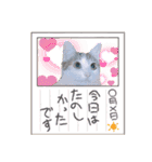 かわいいの天才 Part4（個別スタンプ：31）