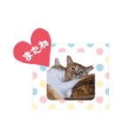 かわいいの天才 Part4（個別スタンプ：37）
