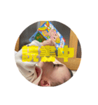 零音ちゃんスタンプ（個別スタンプ：17）