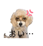 愛ゆえに3（個別スタンプ：3）