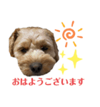 愛ゆえに3（個別スタンプ：5）