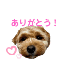 愛ゆえに3（個別スタンプ：7）