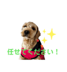 愛ゆえに3（個別スタンプ：13）