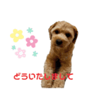 愛ゆえに3（個別スタンプ：15）