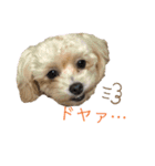 愛ゆえに3（個別スタンプ：16）