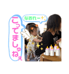 花夜7♡（個別スタンプ：5）