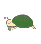 げんきなかめスタンプ（個別スタンプ：16）