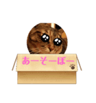 かまってほしい真顔ねこ（個別スタンプ：1）