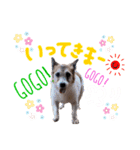 菅原家の動物達5（個別スタンプ：7）