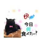 菅原家の動物達5（個別スタンプ：9）