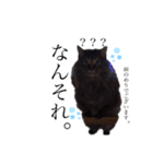 菅原家の動物達5（個別スタンプ：11）