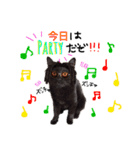 菅原家の動物達5（個別スタンプ：14）