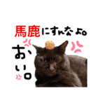 菅原家の動物達5（個別スタンプ：16）