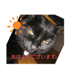 happynagi！！！！！！！！（個別スタンプ：1）