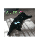 happynagi！！！！！！！！（個別スタンプ：5）