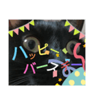 happynagi！！！！！！！！（個別スタンプ：7）