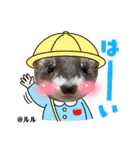ふぇれはむず12（個別スタンプ：4）