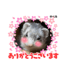 ふぇれはむず12（個別スタンプ：5）