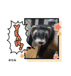 ふぇれはむず12（個別スタンプ：6）